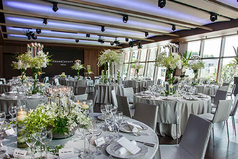 tarragon coriander タラゴンコリアンダー