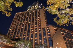 食物アレルギーについて