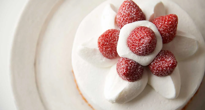 Fiorentina Pastry Boutique Cake
