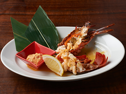Spiny Lobster