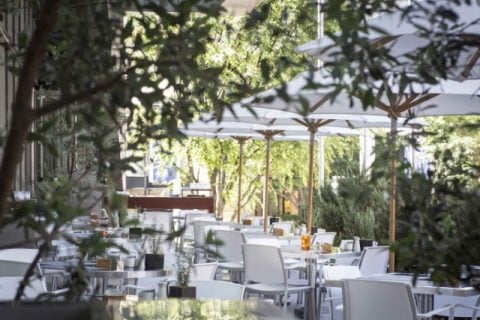 Fiorentina Terrace