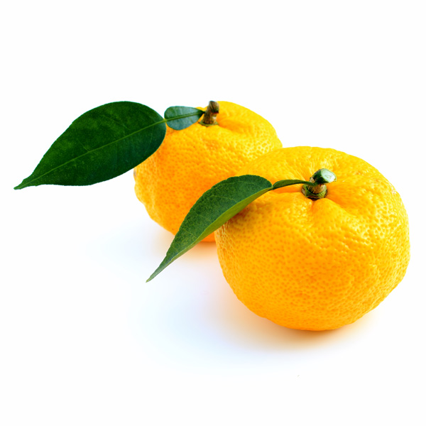 Yuzu