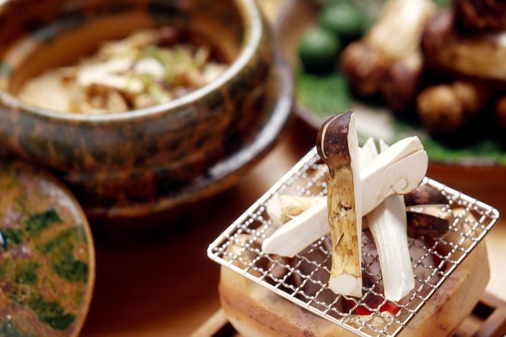 Seasonal Matsutake Mushroom Course