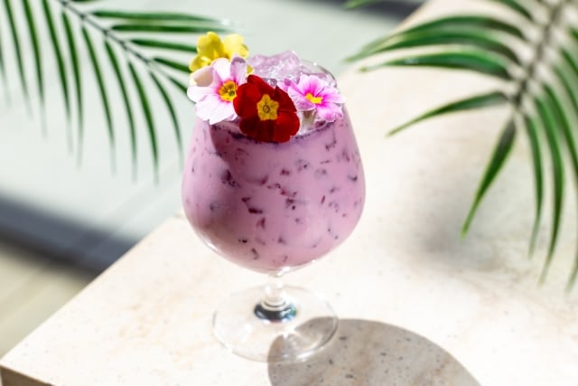 Pitaya Colada