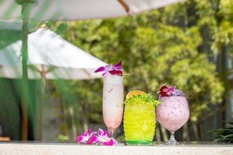 The Oak Door Bar Hawaiian Cocktails eyecatch