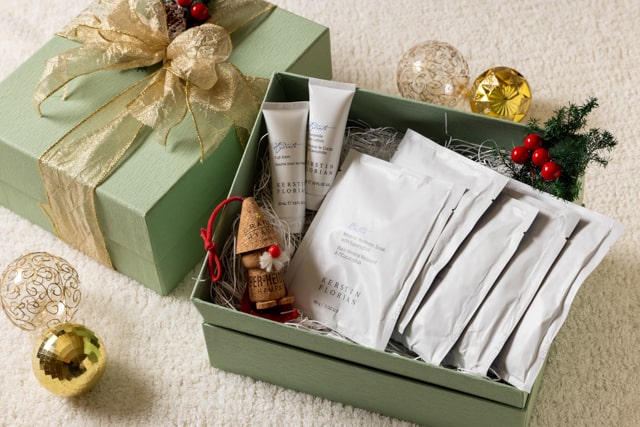 Small holiday Kit 640