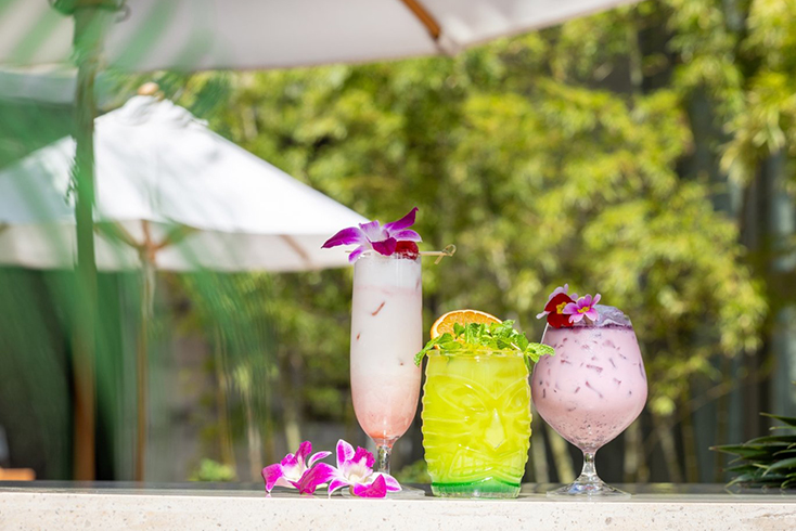 Seasonal Cocktails at The Oak Door Bar