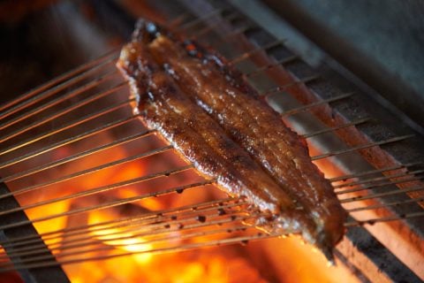 shunbou_Unagi_eel