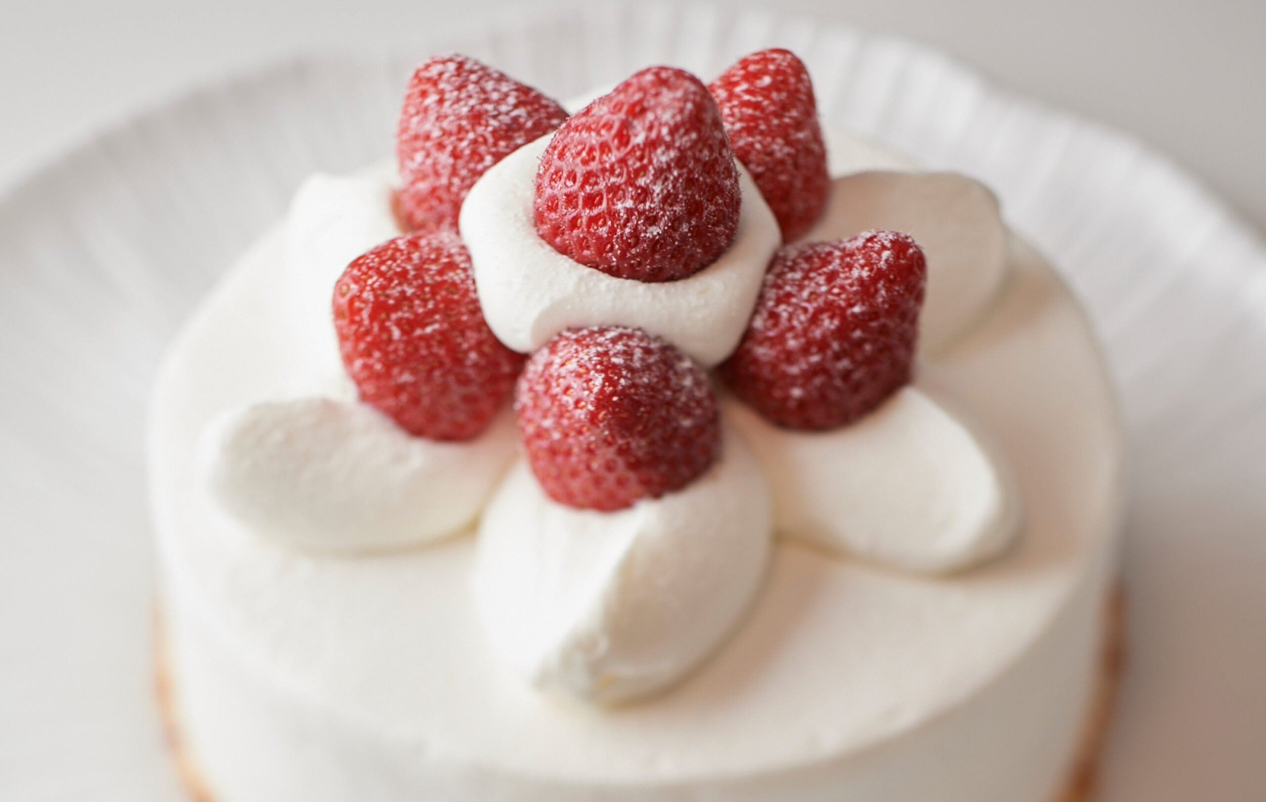 02 Fiorentina Pastry Boutique Gallery Strawberry Shortcake