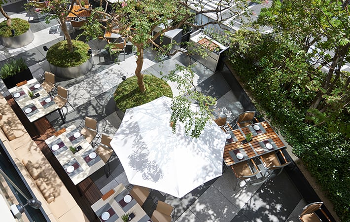 09 The French Kitchen Terrace From Above