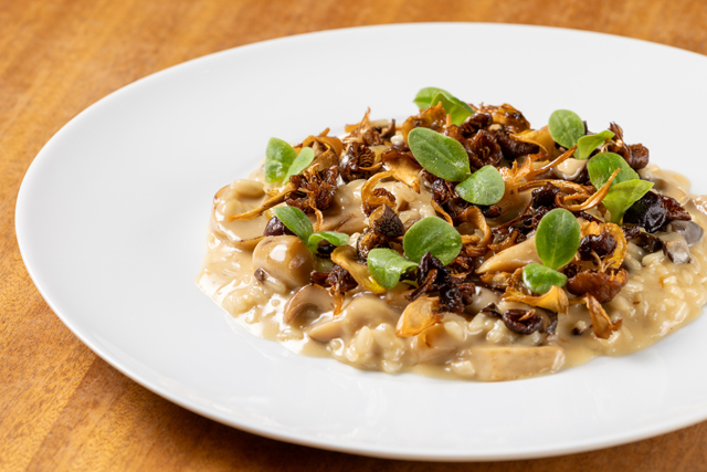 Risotto porcini and Italian mushrooms