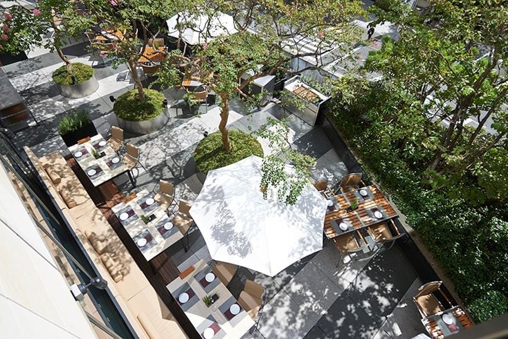 Experience Gourmet Dining on our Serene Open-Air Terraces