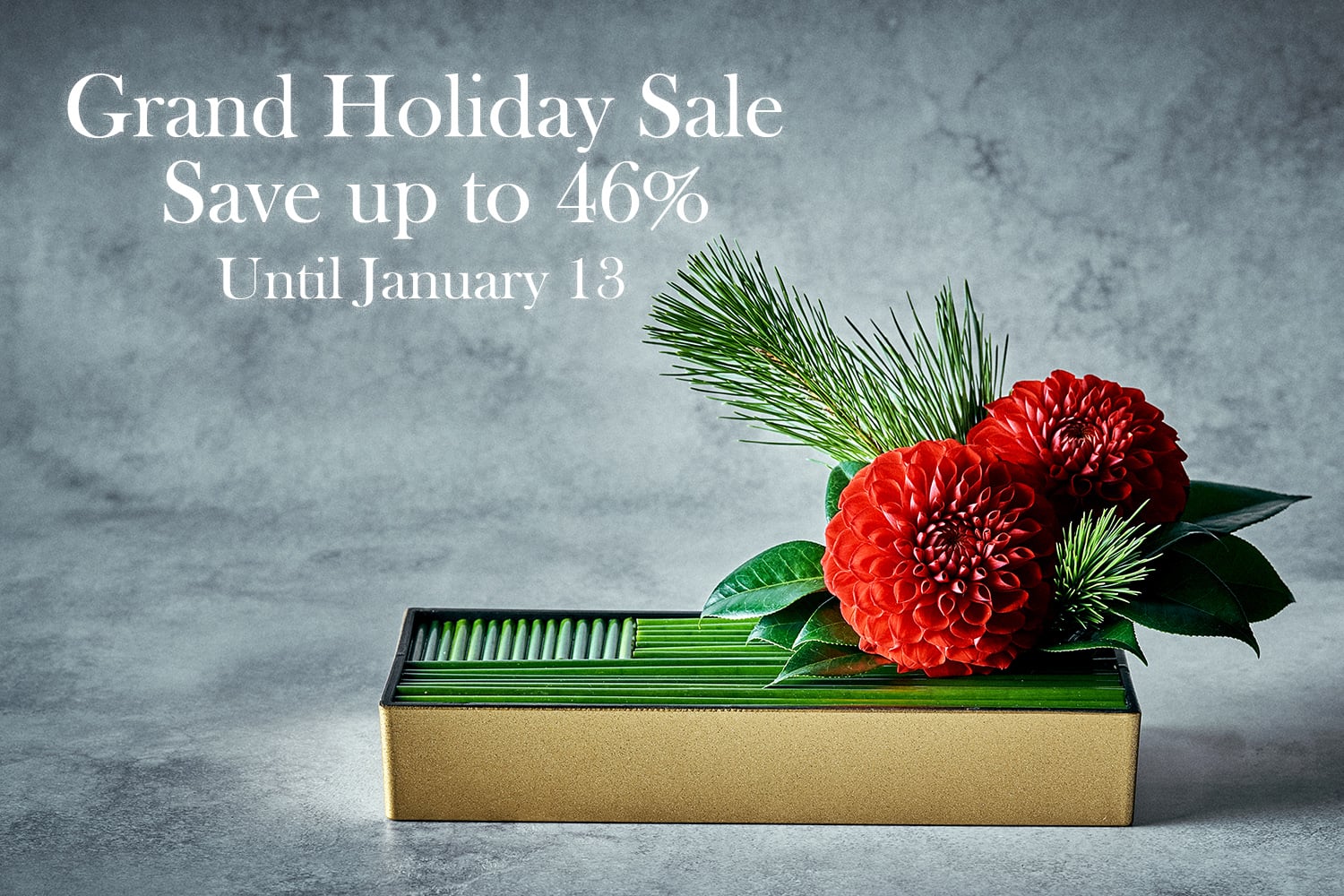 【Dec 26 – Jan 13】Grand Holiday Sale: Book Online to Save Up to 46%