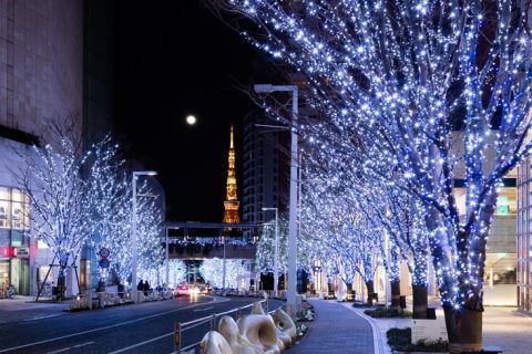 クリスマスステイプラン