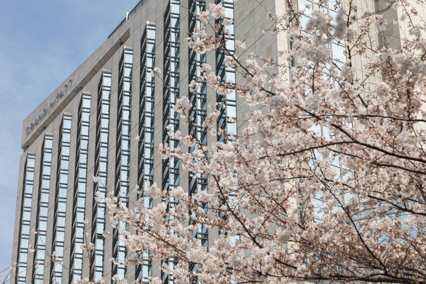 桜 ホテル外観