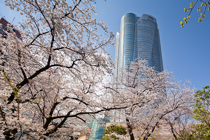 Sakura Roppongi Hills