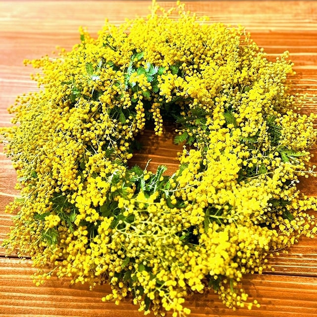 MUSUBU mimosa wreath 2024