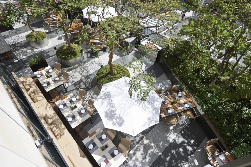 フレンチ キッチン店内写真 テラス