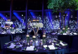 タラゴン コリアンダー8