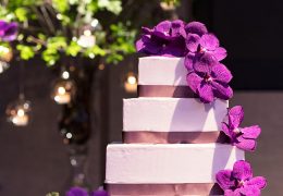 180729フェア ケーキ