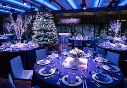 コリアンダー クリスマスツリー ギャラリー