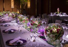 レジデンスアニス05 new