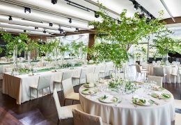 コリアンダー グリーン アンド ホワイト