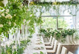 フォトギャラリー　コリアンダー　 新緑イメージ 780