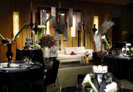 レジデンス アニス ブラック コーディネート グランド ハイアット 東京