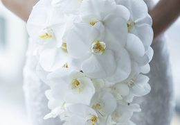 フォトギャラリー ブーケ 2022-03