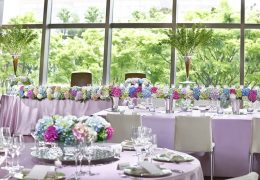 コリアンダー ピンク アジサイ