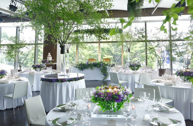 コリアンダー　白紫