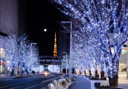 けやき坂　イルミネーション